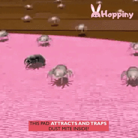🔥BUY MORE SAVE MORE🔥All-Natural Dust Mites Killer（10 Pcs）