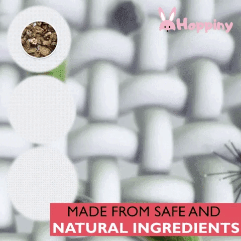 🔥BUY MORE SAVE MORE🔥All-Natural Dust Mites Killer（10 Pcs）