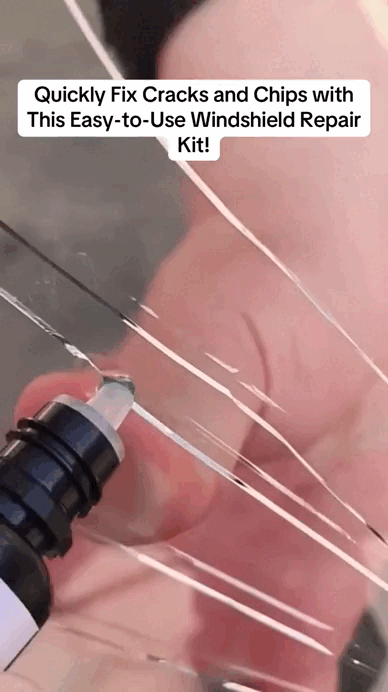 Fill & Seal Small Windshield Chips Before They Spread.